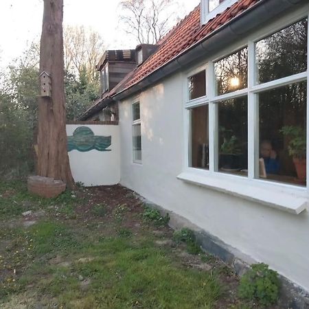 Vogelvrij Villa Vierhuizen Eksteriør billede
