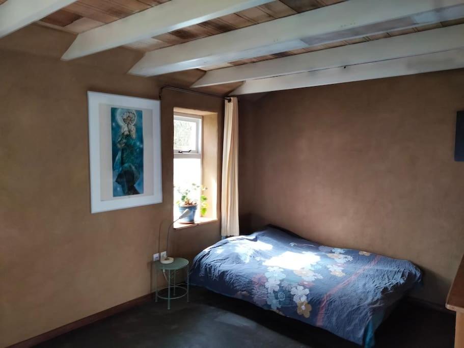 Vogelvrij Villa Vierhuizen Eksteriør billede