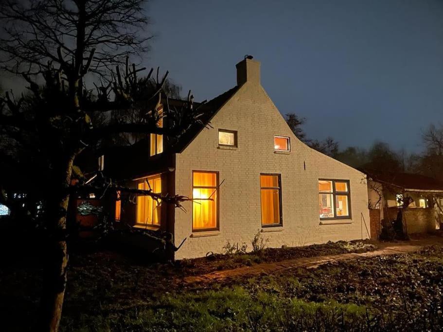Vogelvrij Villa Vierhuizen Eksteriør billede