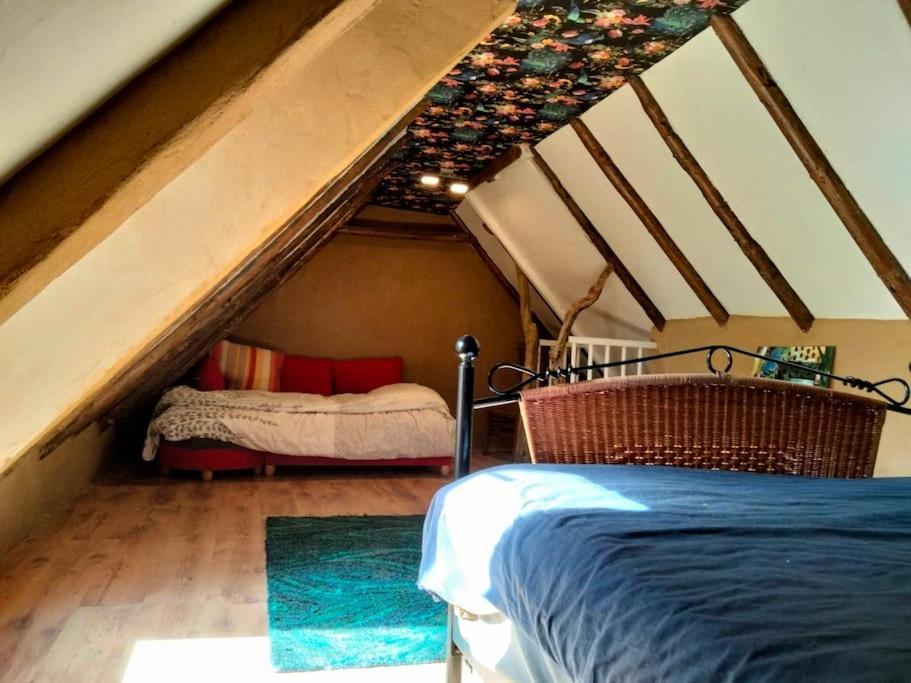 Vogelvrij Villa Vierhuizen Eksteriør billede