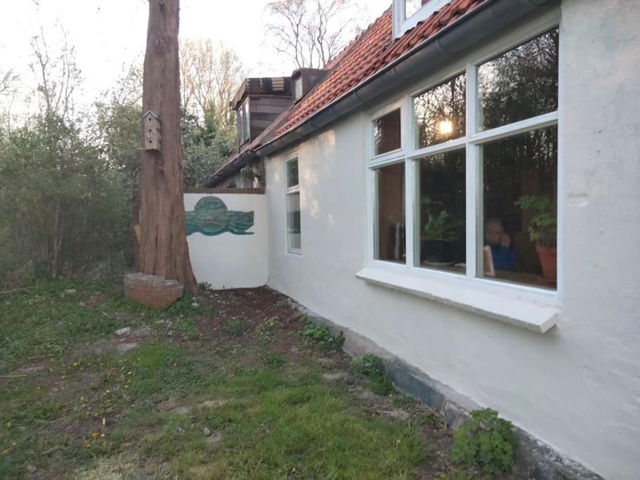 Vogelvrij Villa Vierhuizen Eksteriør billede